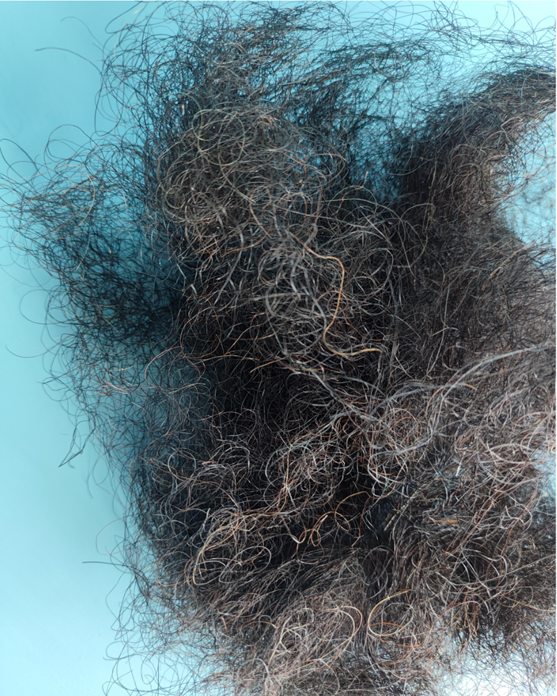Horse hair - Image 4