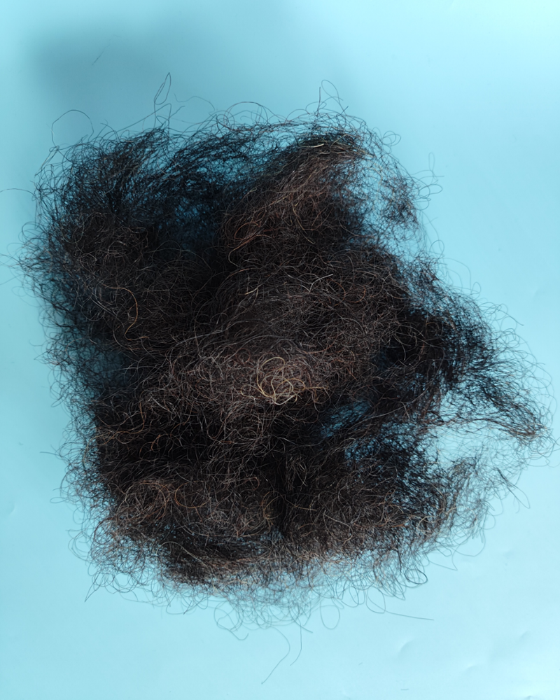 Horse hair - Image 2