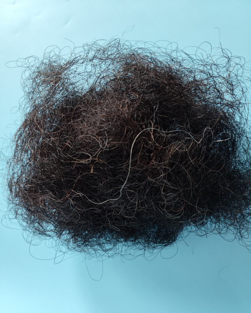 Horse hair - Image 3