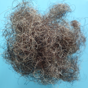 Horse hair