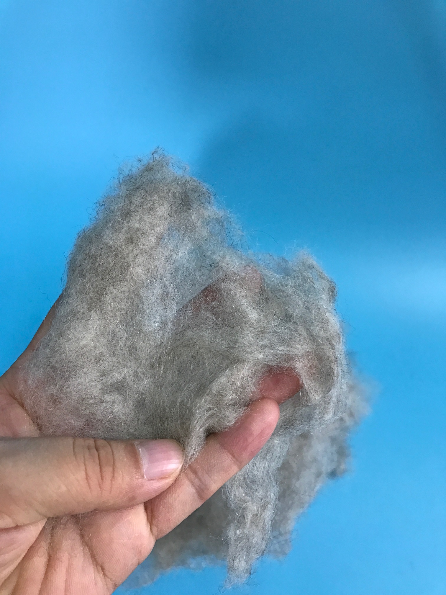 Combed Sheep Wool in Natural Gray Color – Premium Filling Material for Quilts - Image 4