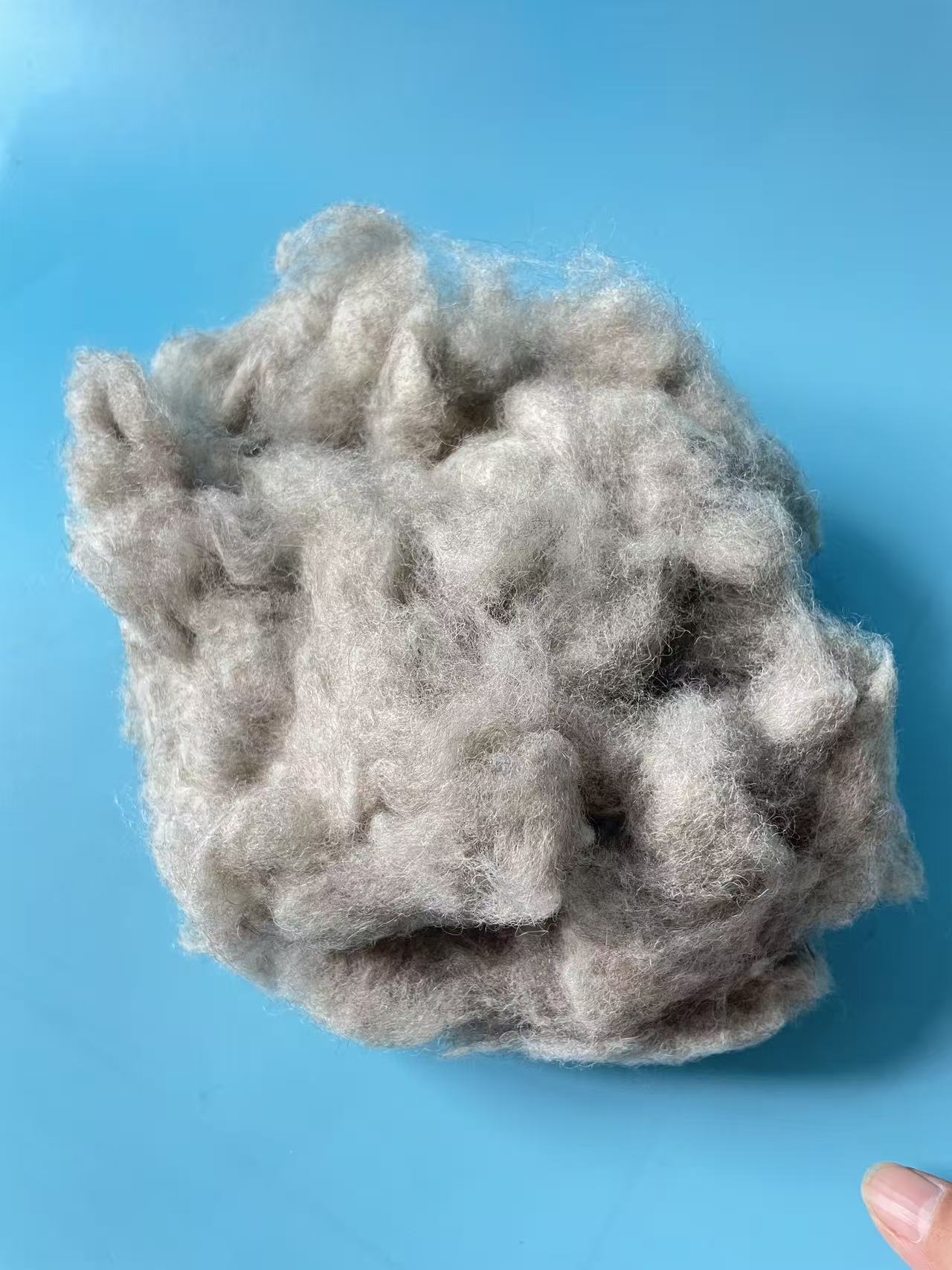 Combed Sheep Wool in Natural Gray Color – Premium Filling Material for Quilts - Image 5