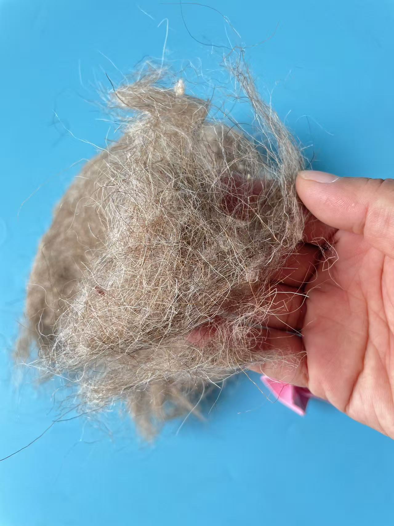 Natural Tan Carded Sheep Wool – Material for Wool Felt Applications - Image 4