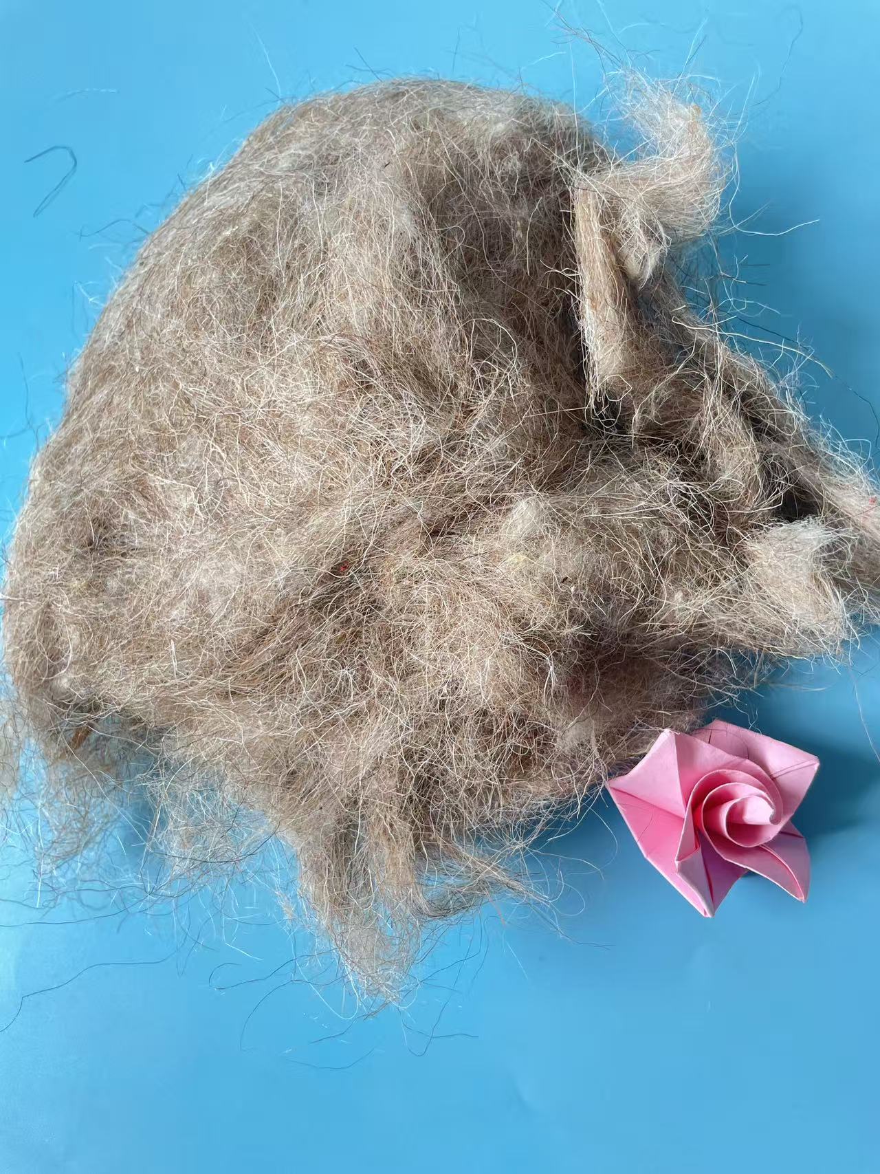Natural Tan Carded Sheep Wool – Material for Wool Felt Applications - Image 3