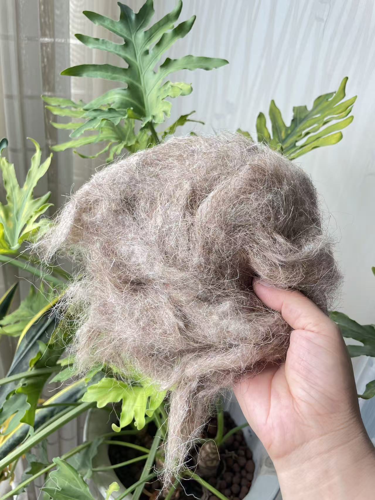 Natural Tan Carded Sheep Wool – Material for Wool Felt Applications