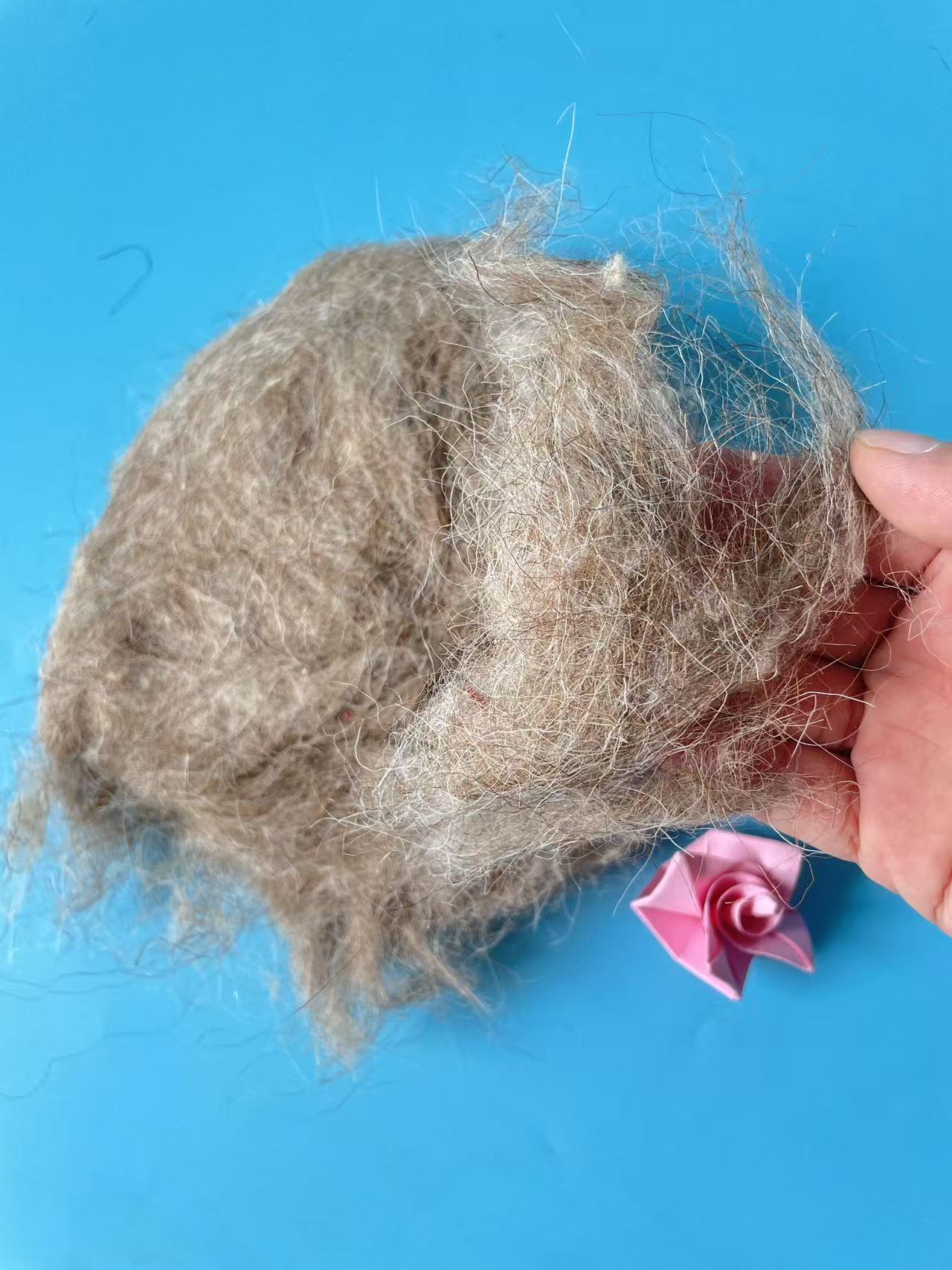 Natural Tan Carded Sheep Wool – Material for Wool Felt Applications - Image 5
