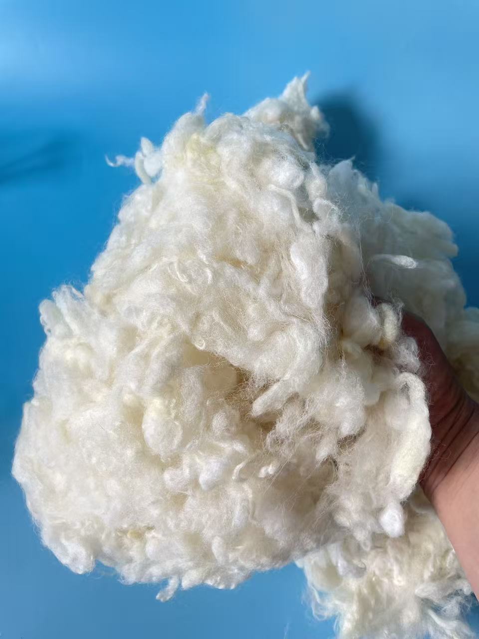 2025 the new harvest of New Zealand Carbonized Wool (Coarse Grade) - Image 4