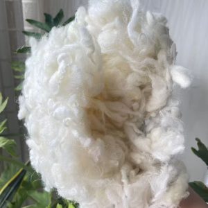 2025 the new harvest of New Zealand Carbonized Wool (Coarse Grade)