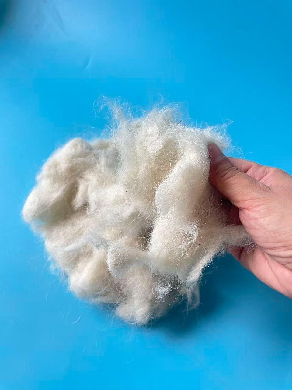 Carded Sheep Wool for Carpet Yarn Making - Image 5