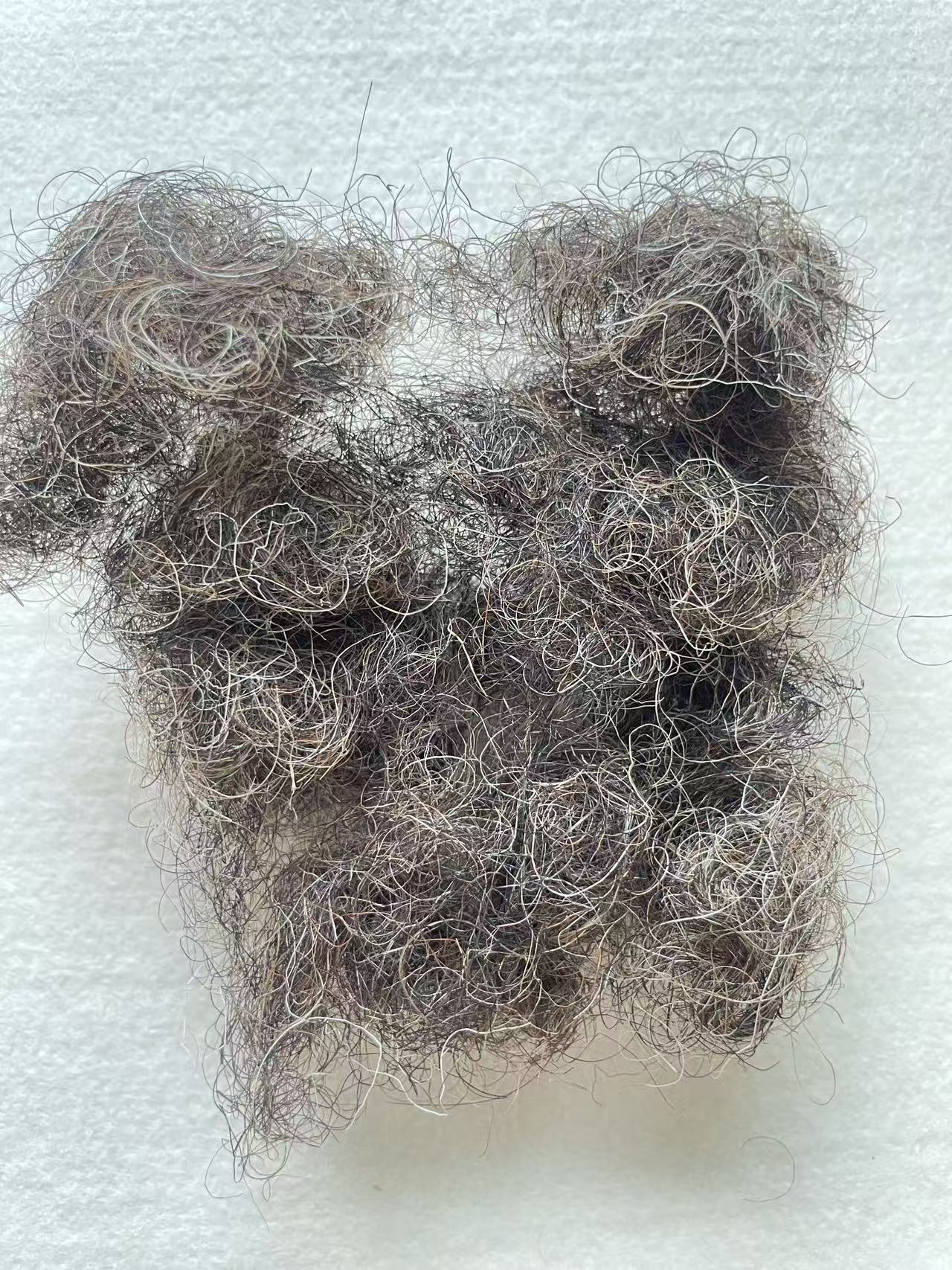 Natural grey color Crimped Horse hair for Beds and mattresses - Image 4