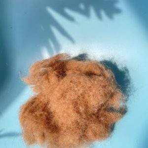 Camel Hair for Mattress Filling – Natural Comfort and Premium Quality