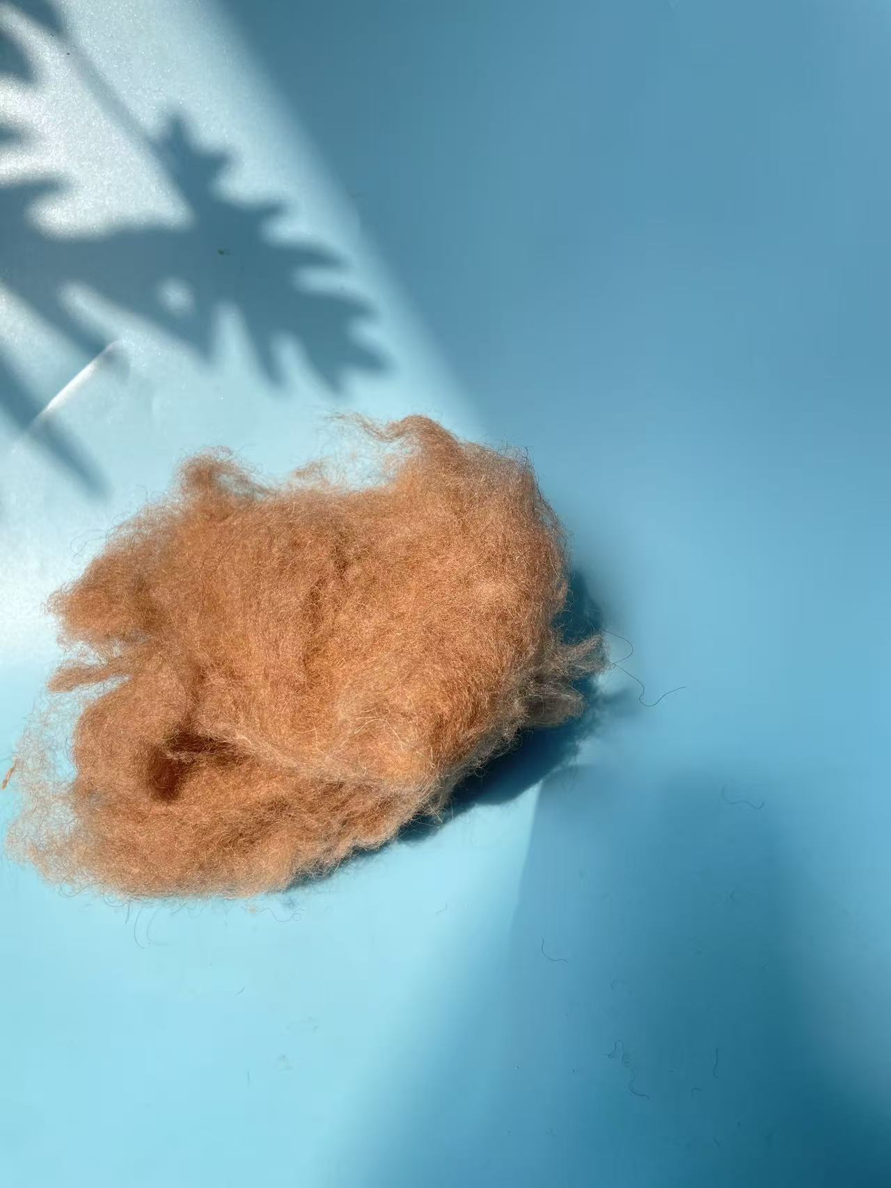 Camel Hair Filling – Natural, Eco-Friendly Luxury for Bedding and Home Textiles - Image 6