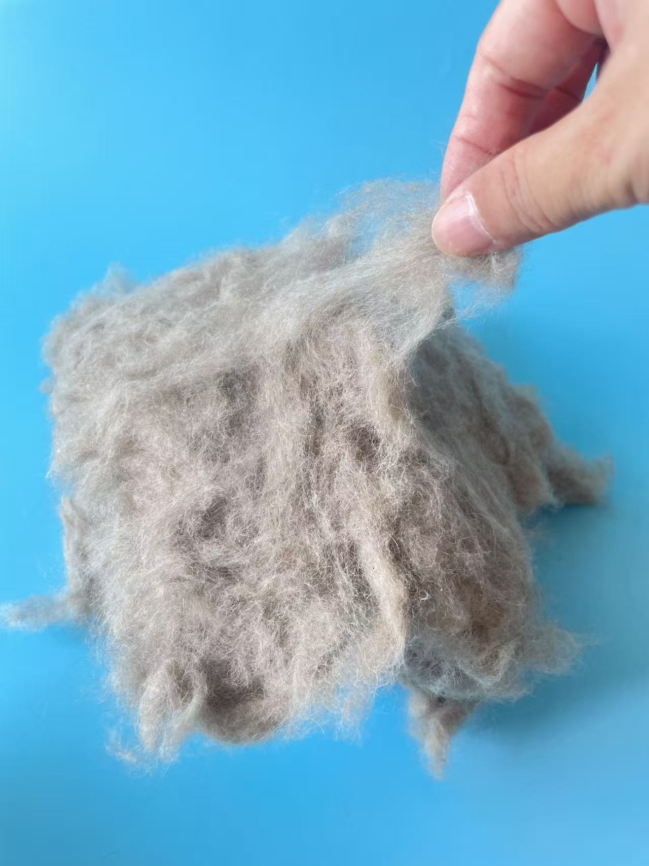 Raccoon fiber for Spinning Yarn