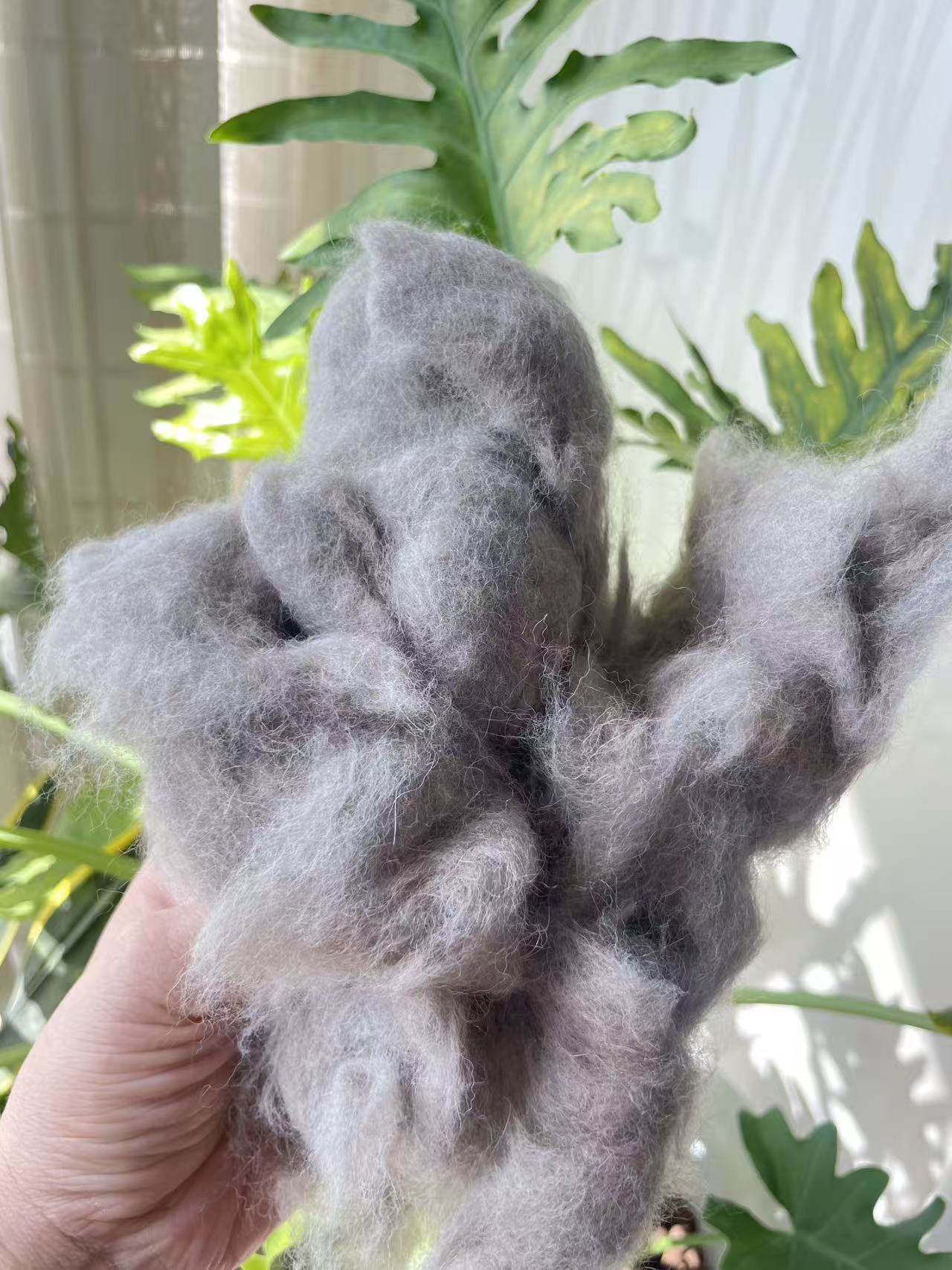 Raccoon fiber for Spinning Yarn - Image 4