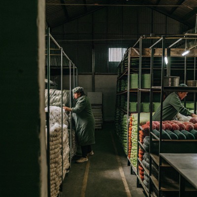 Workers organizing wool in storage warehouse (ID#1)